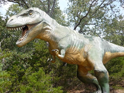 Picture for: All About Dinos