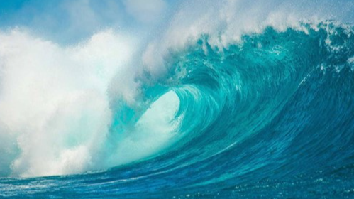 Picture for: Diventures Ocean Ecology