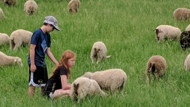 Image for Gale Woods Farm Camp in Action