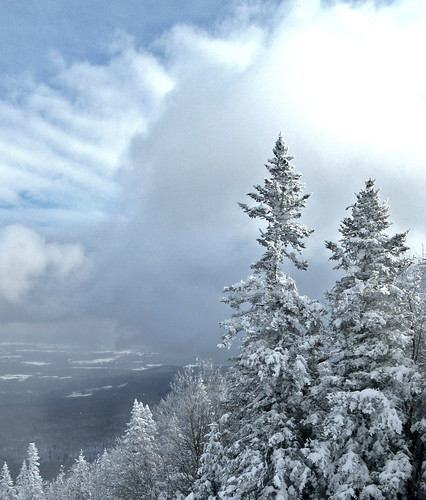 The Jay Cloud