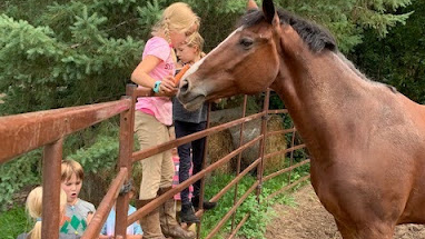 Picture for: Pheonix River Farms Equestrian