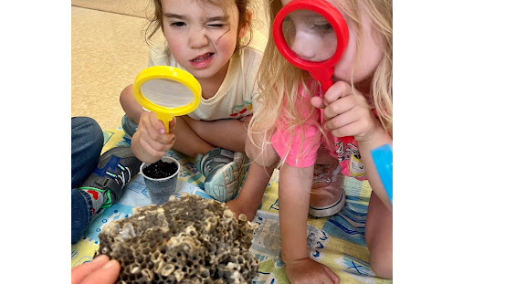 Image for Nature Class at Lake Rebecca (Parent and Child Class)