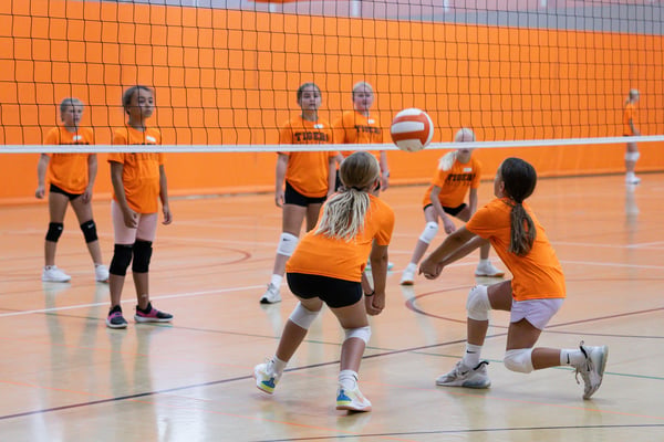 Picture for Volleyball