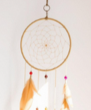 Picture for Dream Catchers