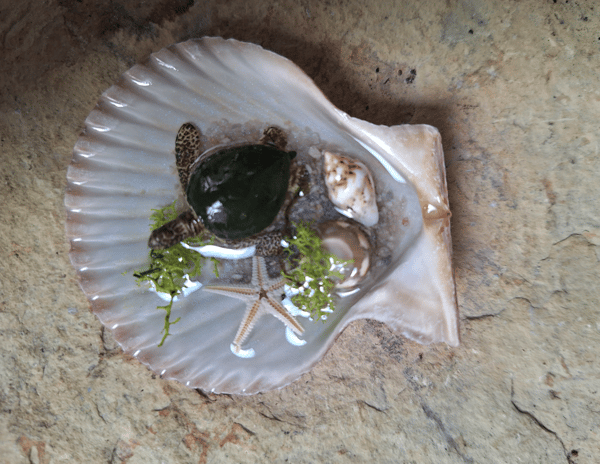 Course Resin Night Lights image 2