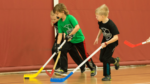 Image for Floor Hockey
