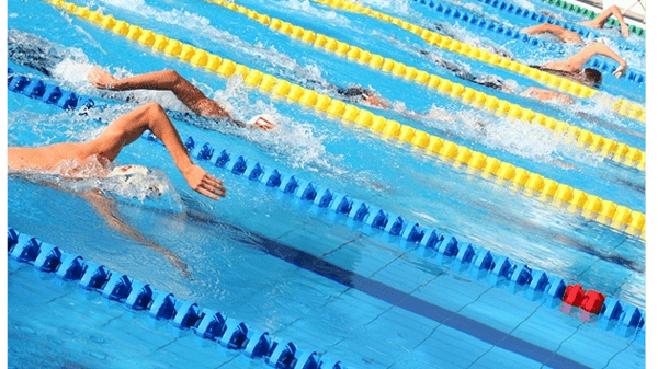 Picture for: Lap Swim