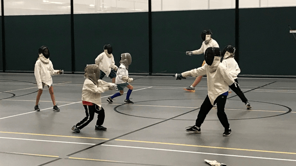 Picture for: Fencing