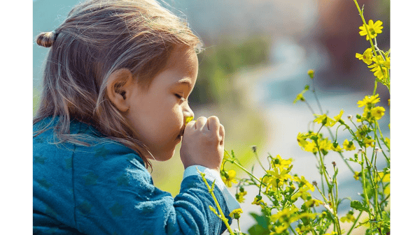 Picture for: Nature Club