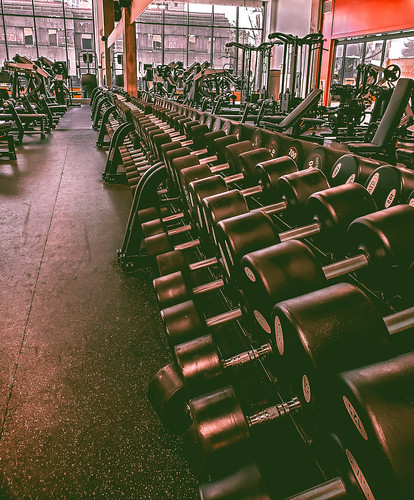 Dumbbell Rack in Gym