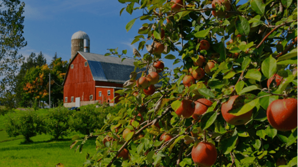 Course Pleasant Valley Apple Orchard image 1