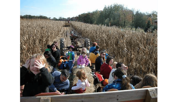 Course Lendt's Pumpkin Patch Hayride image 1