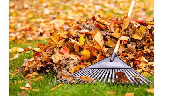 Course Fall Lawn Care image 1