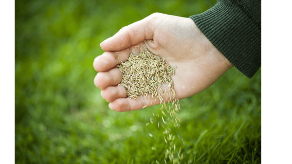 Course Dormant Seeding image 1