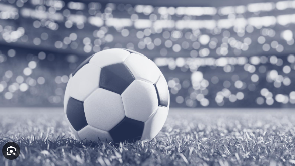 Picture for Intro to Soccer