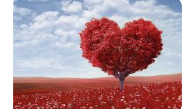 Course Heart Centered Intention image 1