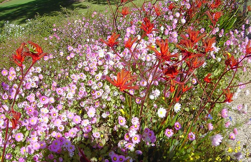 Picture for: Hands on Pocket Planting Design