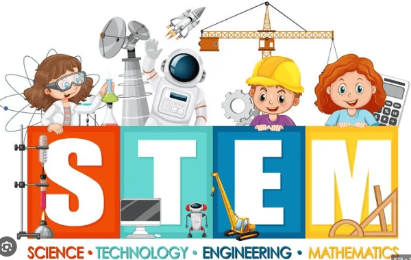 Picture for: ECFE STEM Series