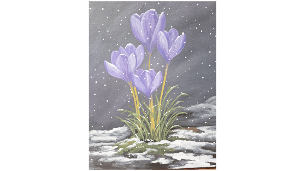 Picture for: Iris in the Snow