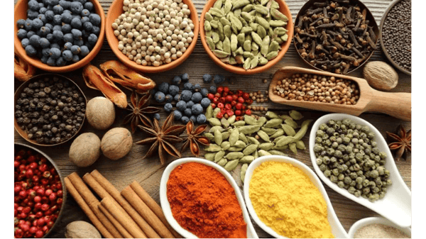 Image for The Spice Lab