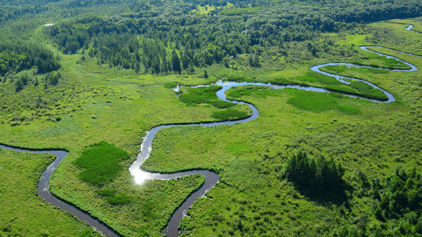 Picture for: Cedar Creek Ecosystems Science Reserve