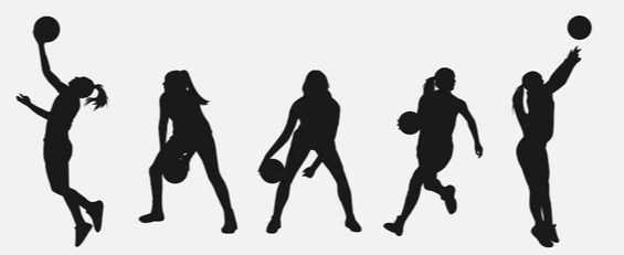 Picture for Wildcat Girls skills and drills