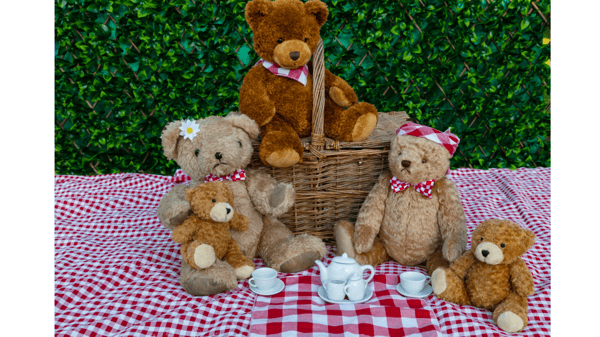 Picture for: Summer Picnic with Teddy & Friends (Ages 2-5 yrs)