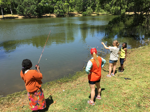 Picture for: Wildcat Fishing