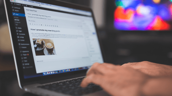Picture for: WordPress Certificate