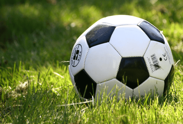 Picture for: Albert Lea Tigers Coed Soccer Camp