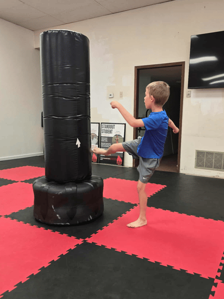 Course Intro to Taekwondo image 3