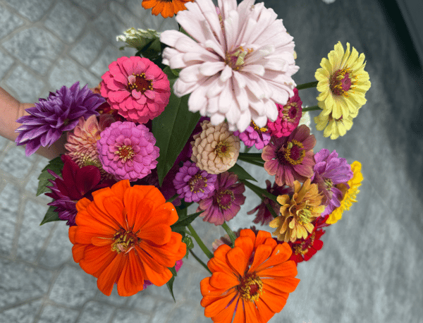 Course Build Your Own Bouquet with Homegrown Flowers image 2