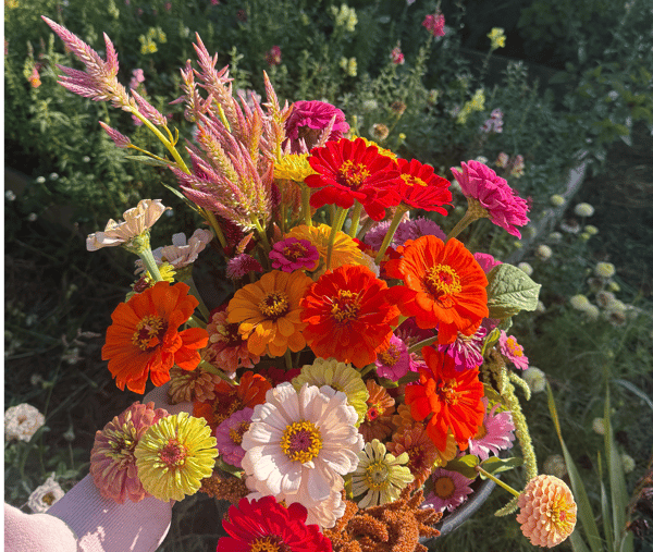 Course Build Your Own Bouquet with Homegrown Flowers image 3