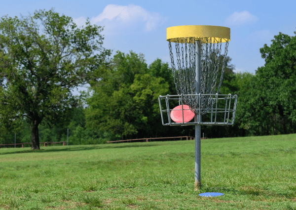Picture for Beginner Disc Golf