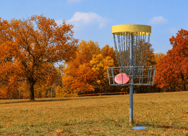 Picture for Beginner Disc Golf