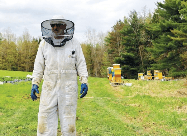 Course Successfully Overwinter Honeybee Colonies with Confidence image 1