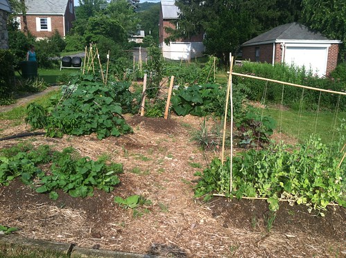 Albright College Garden