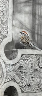 Course Intro to Natural History Illustration Drawing in Graphite with Charon Henning image 5