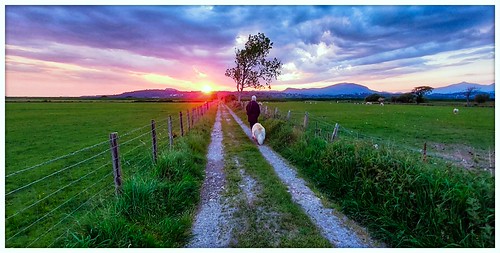 Following the sunset