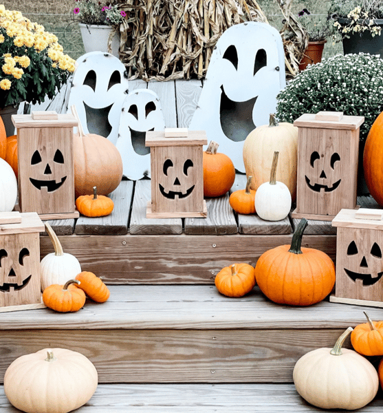 Picture for: Build a Wooden Jack-O-Lantern!