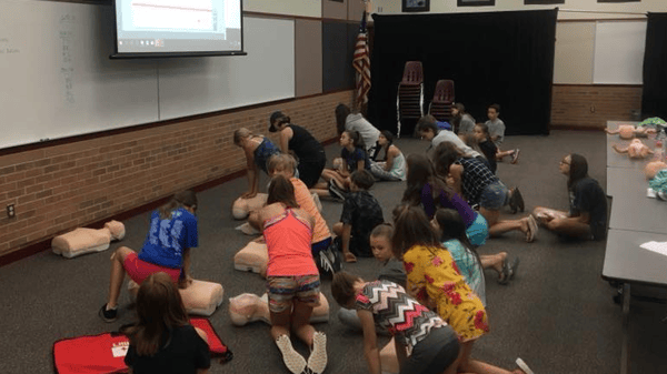 Course Certified Babysitter/CPR/First Aid and Safe Home Alone (Add On - Pet Sitter Safety too) image 1