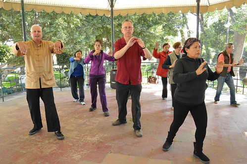 Course Tai Chi Physical Fitness- Balance & Mobility image 2