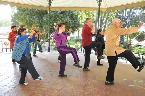 Course Tai Chi Physical Fitness- Balance & Mobility image 1