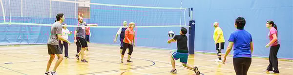 Picture for: Volleyball League