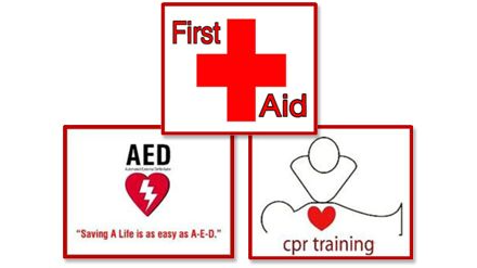 Course CPR & First Aid in Youth Sports Training image 1