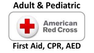 Course Adult and Pediatric First Aid/CPR/AED image 1
