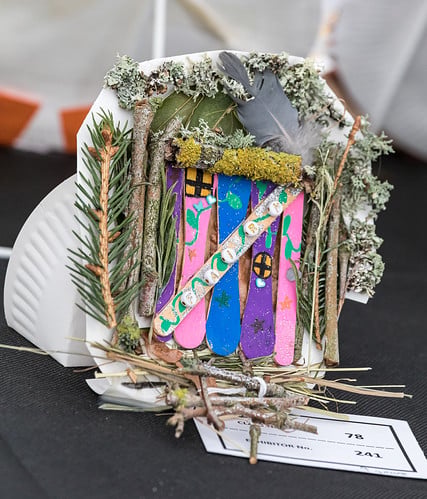 Competitions Marque - Dorset County Spring Show 2025