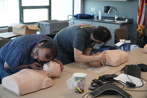 Picture for: American Red Cross Adult/Pediatric CPR, AED and First Aid