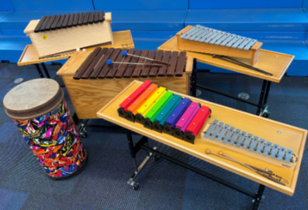 Picture for Spring Mills Orff Sharks!