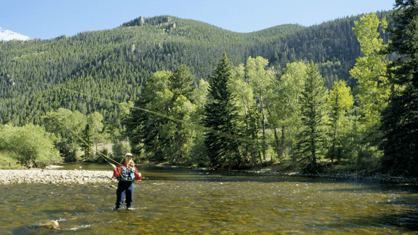 Course Fly Fishing: Ladies Only | Half Moon Lake Ponds image 1
